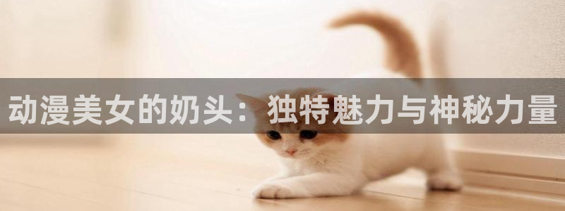 动漫天堂91