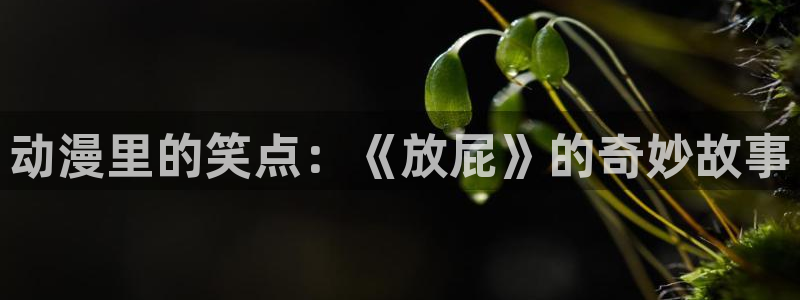 动漫天堂18