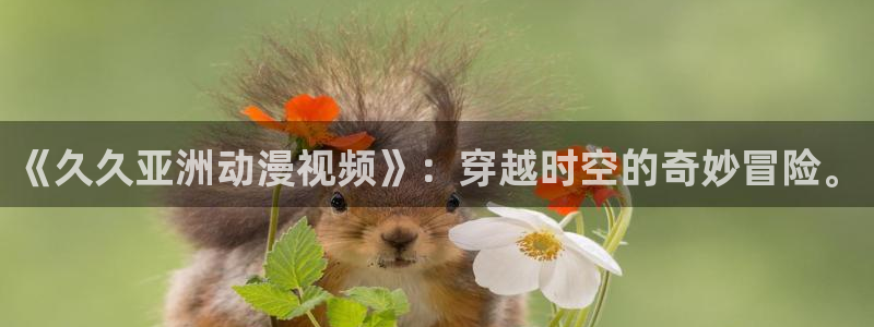 coco动漫天堂