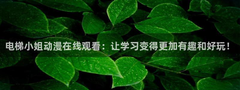 动漫天堂免费下载