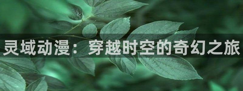 动漫天堂免费在线观看