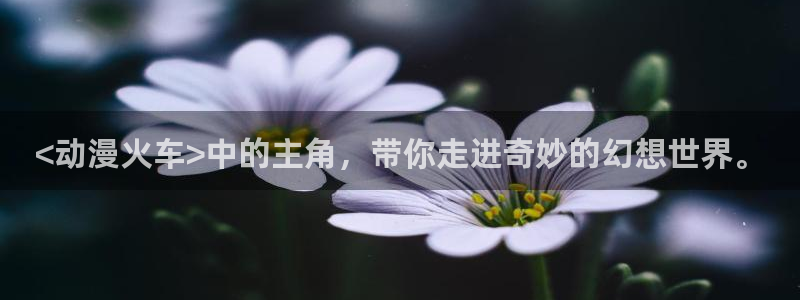 3d动漫天堂网