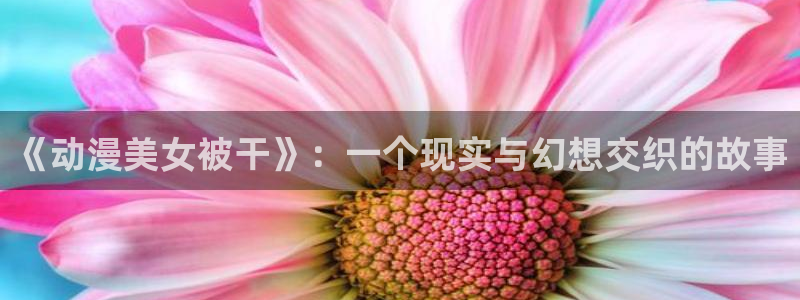 动漫天堂在线观看