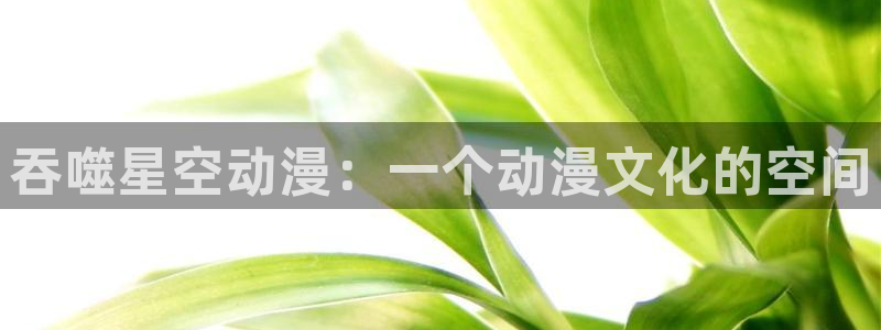 bt动漫天堂