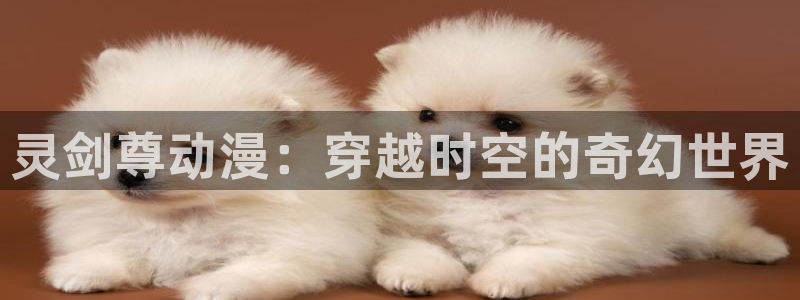 动漫天堂在线看