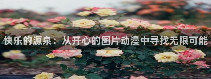 内地动漫天堂