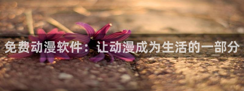 动漫天堂软件