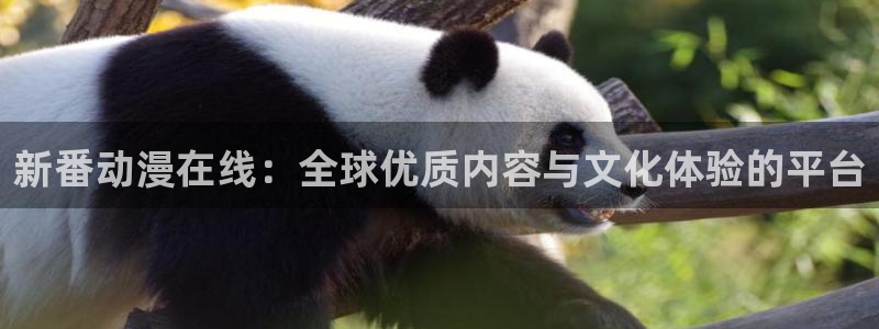 动漫天堂免费版：新番动漫在线：全球优质内容与文化体验的平台