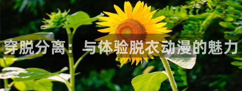 动漫天堂网址：穿脱分离：与体验脱衣动漫的魅力