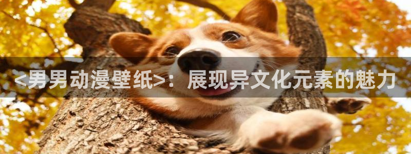 原神禁动漫天堂可莉：<男男动漫壁纸>：展现异文化元素的魅力