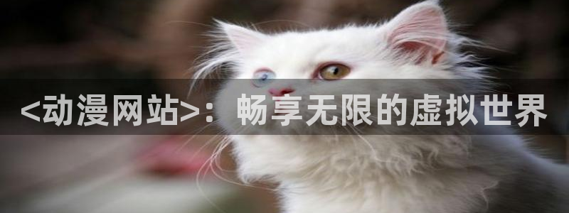 动漫天堂91