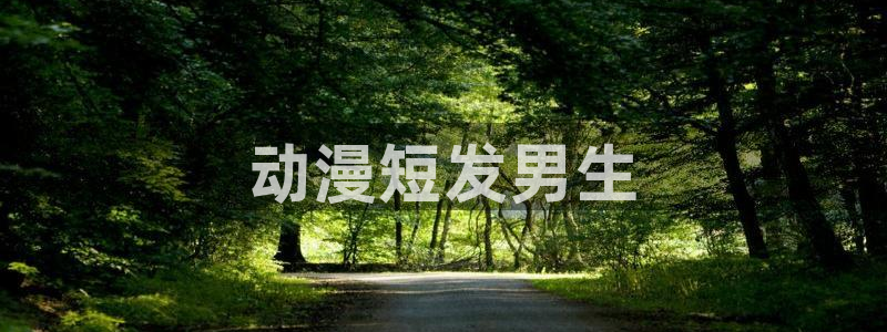 动漫天堂下载