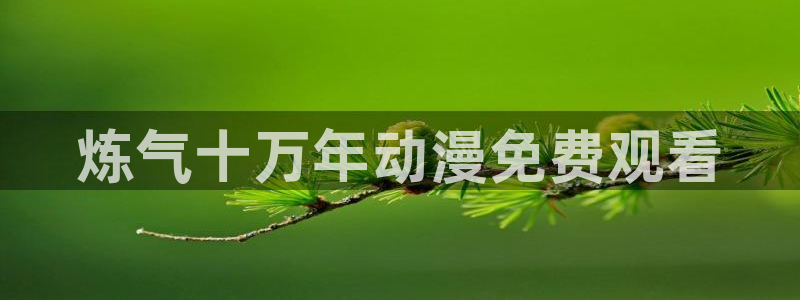 动漫天堂网