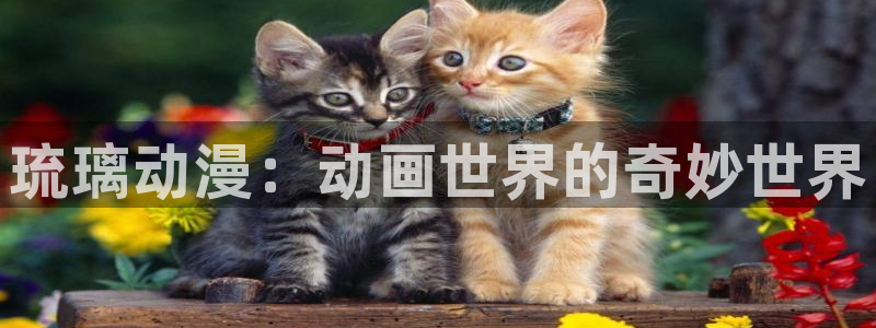 18禁动漫天堂