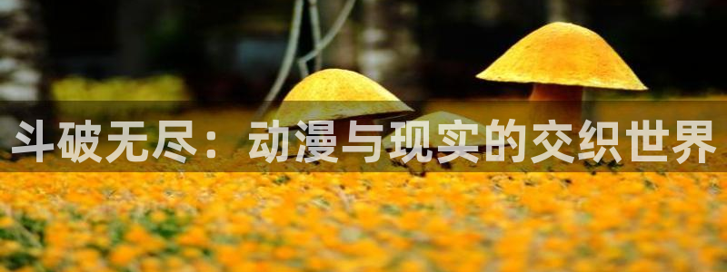 动漫天堂下载安装最新版