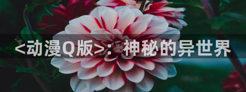 同人动漫天堂
