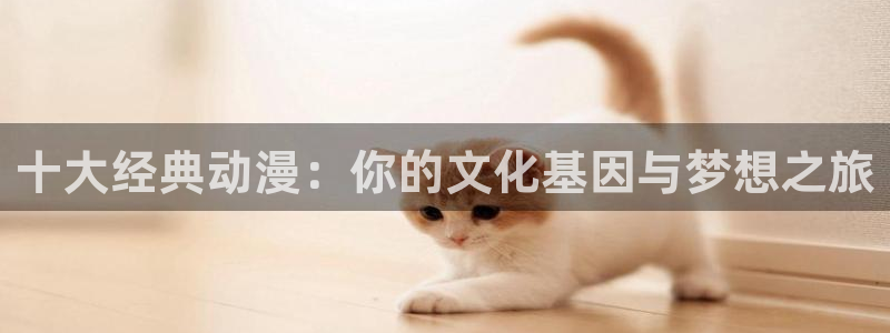 动漫天堂下载最新版