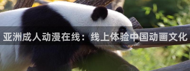 91动漫天堂