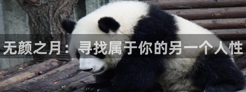 动漫天堂电影
