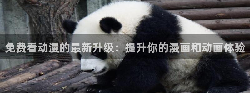 男人动漫天堂在线
