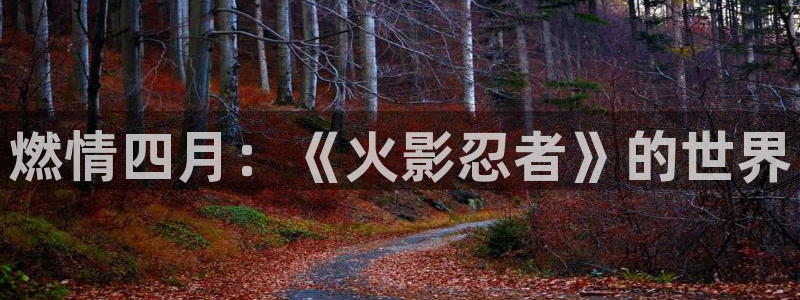 动漫天堂.cc