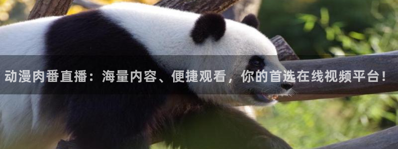 91动漫天堂