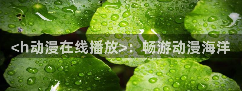 3d动漫天堂