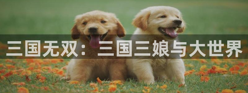 动漫天堂官方正版下载：三国无双：三国三娘与大世界