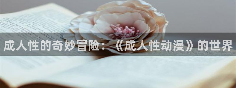禁动漫天堂：成人性的奇妙冒险：《成人性动漫》的世界