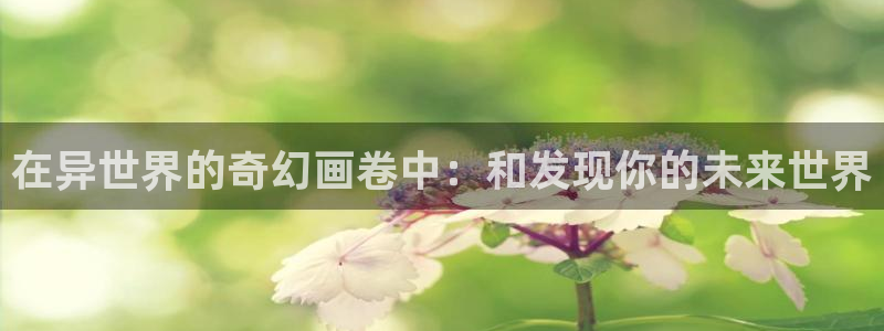 下载动漫天堂：在异世界的奇幻画卷中：和发现你的未来世界